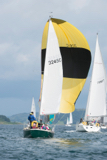 oystercatcher 3245c whyw16 sun 800 1688w